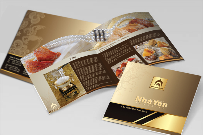 in catalogue tại hà nội