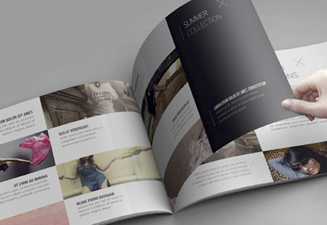 in catalogue nhanh